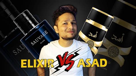 asad vs sauvage elixir.